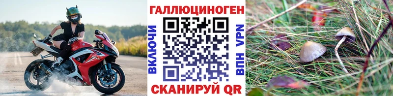 Псилоцибиновые грибы Psilocybine cubensis  Красный Сулин 