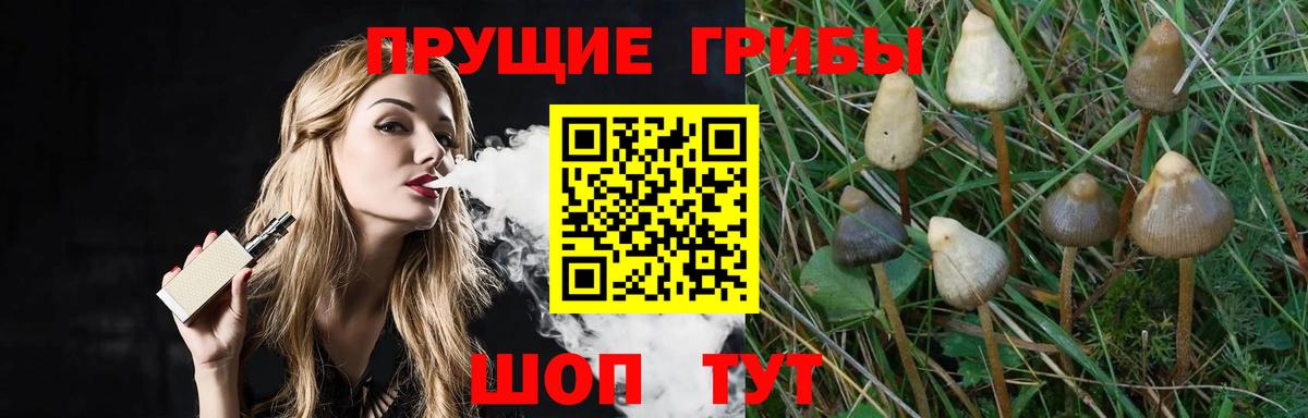 купить закладку  Галлюциногенные грибы мухоморы  Вход с VPN  Красный Сулин 